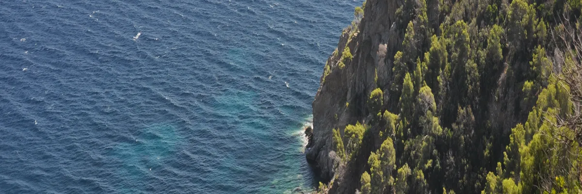 Image Entreprise abri de piscine Cavalaire-sur-Mer