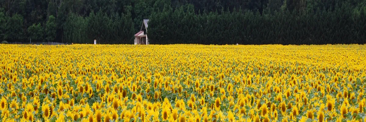 Image Entreprise abri de piscine Centre-Val de Loire