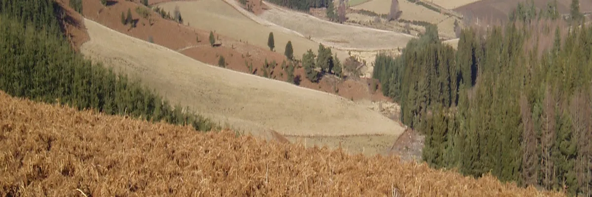 Image Entreprise abri de piscine Creuse