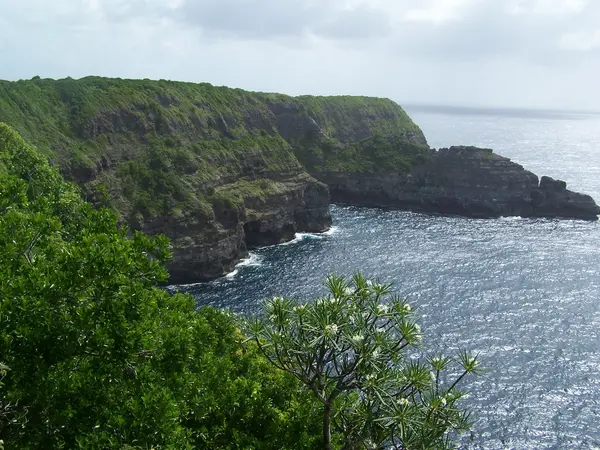 Abri Piscine Motorisé Entreprise abri de piscine Guadeloupe