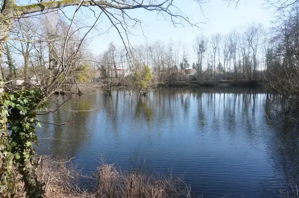 Abri Piscine Motorisé Entreprise abri de piscine La Chapelle-Saint-Luc